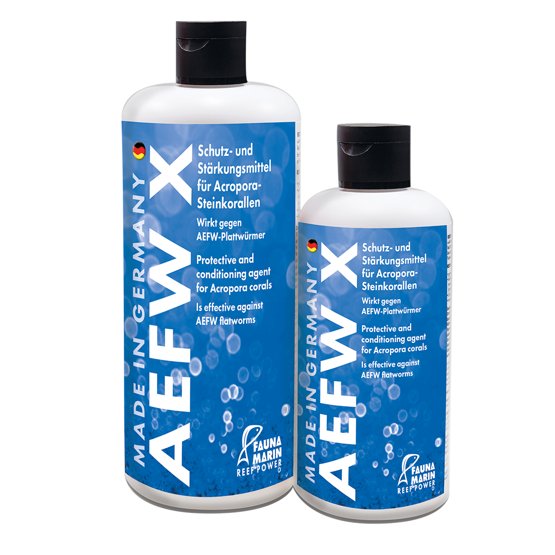 Fauna marin AEFW X