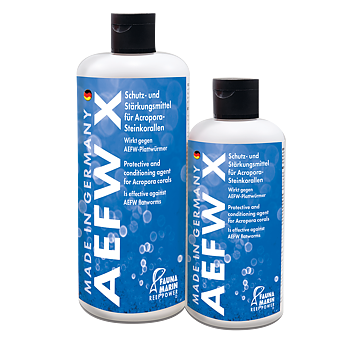 Fauna marin AEFW X