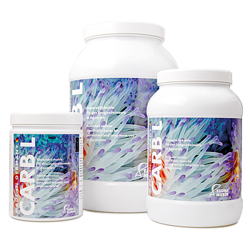 Fauna marin Carb L