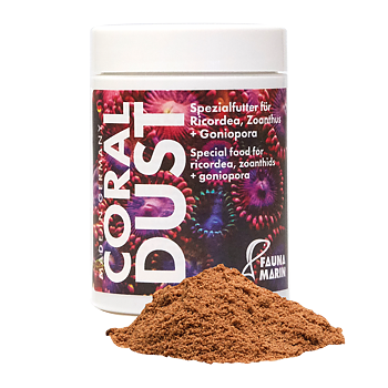 Fauna marin Coral Dust