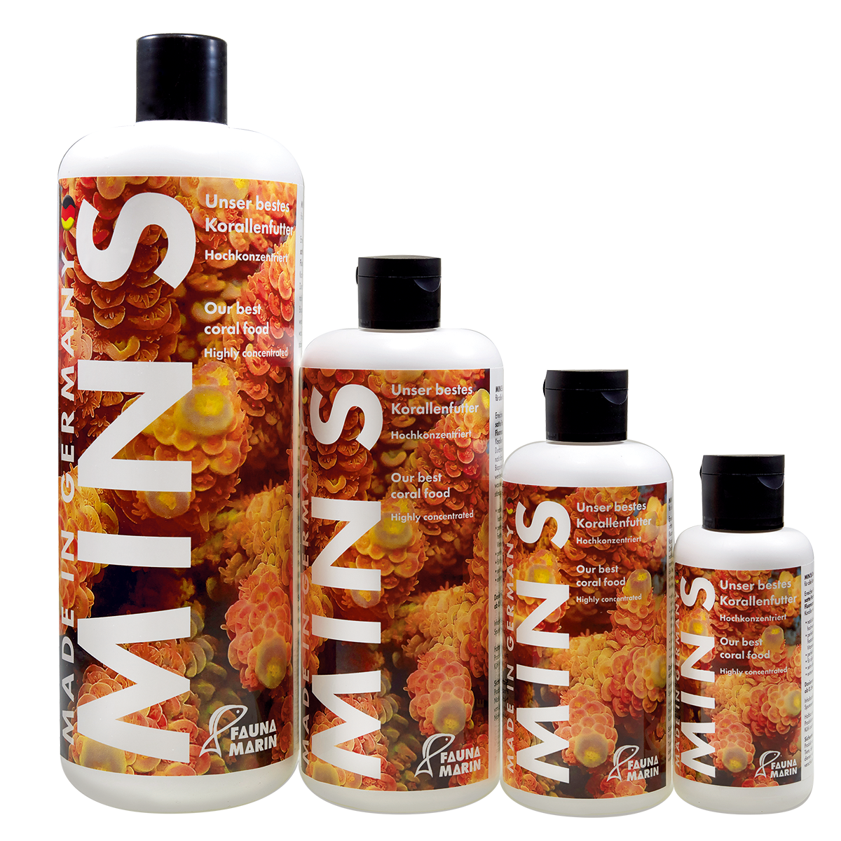 Fauna marin Min S