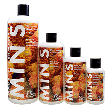 Fauna marin Min S