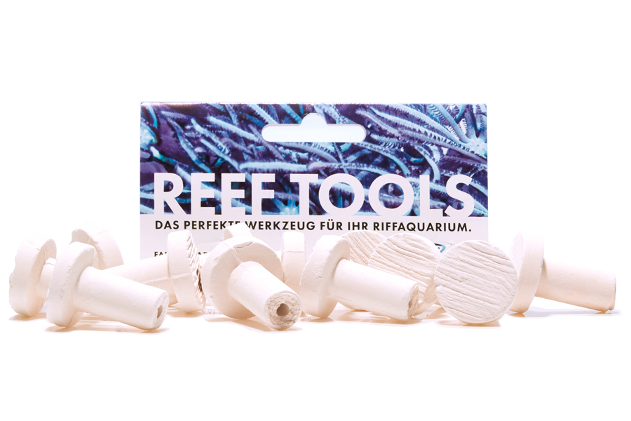 Fauna marin Reef Disc Mini 2cm Ø