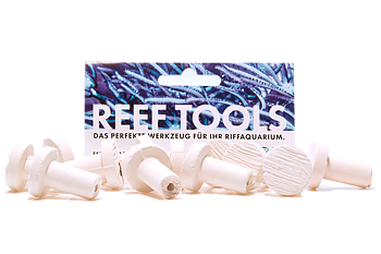 Fauna marin Reef Disc Mini 2cm Ø