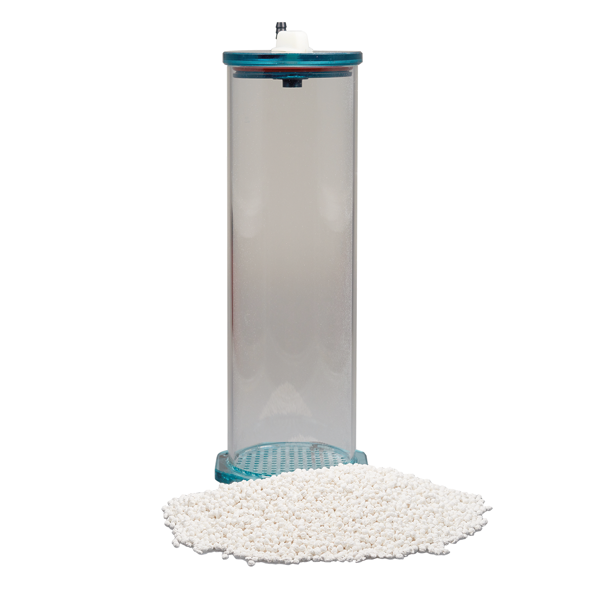 Fauna marin Skim Breeze Reactor 