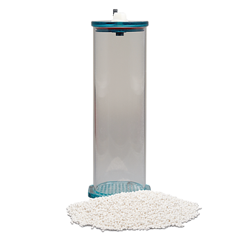 Fauna marin Skim Breeze Reaktor 