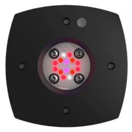 AI Prime HD led lampor