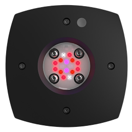 AI Prime HD led lampor