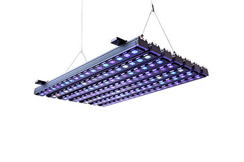 ORPHEK OR3 Reef LED