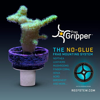 Frag Gripper 10pack