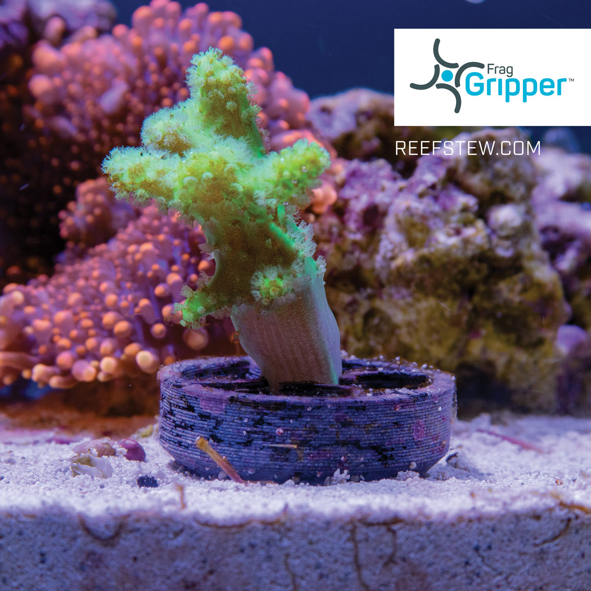 Frag Gripper 10pack - 4