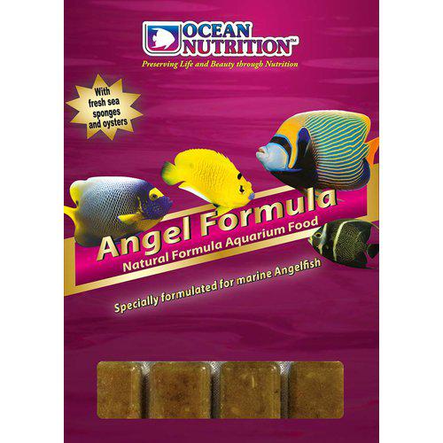 FROZEN ANGEL FORMULA 100GR