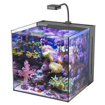 Aqua Medic Nano Reeftank Yasha