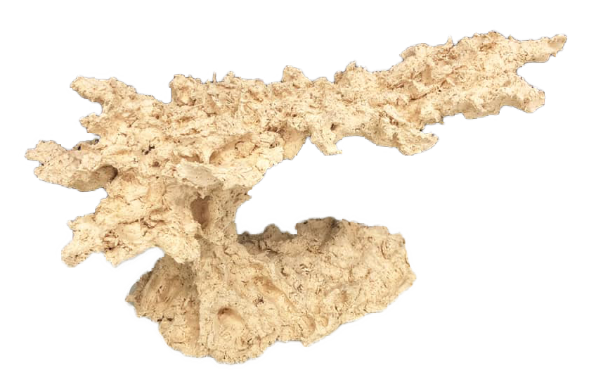 FLYING REEF CERAMIC