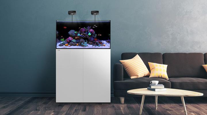 Waterbox AIO - 2