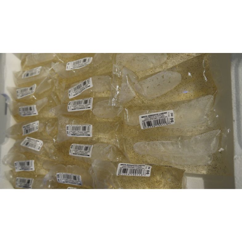 LIVE ROTIFER 90ml