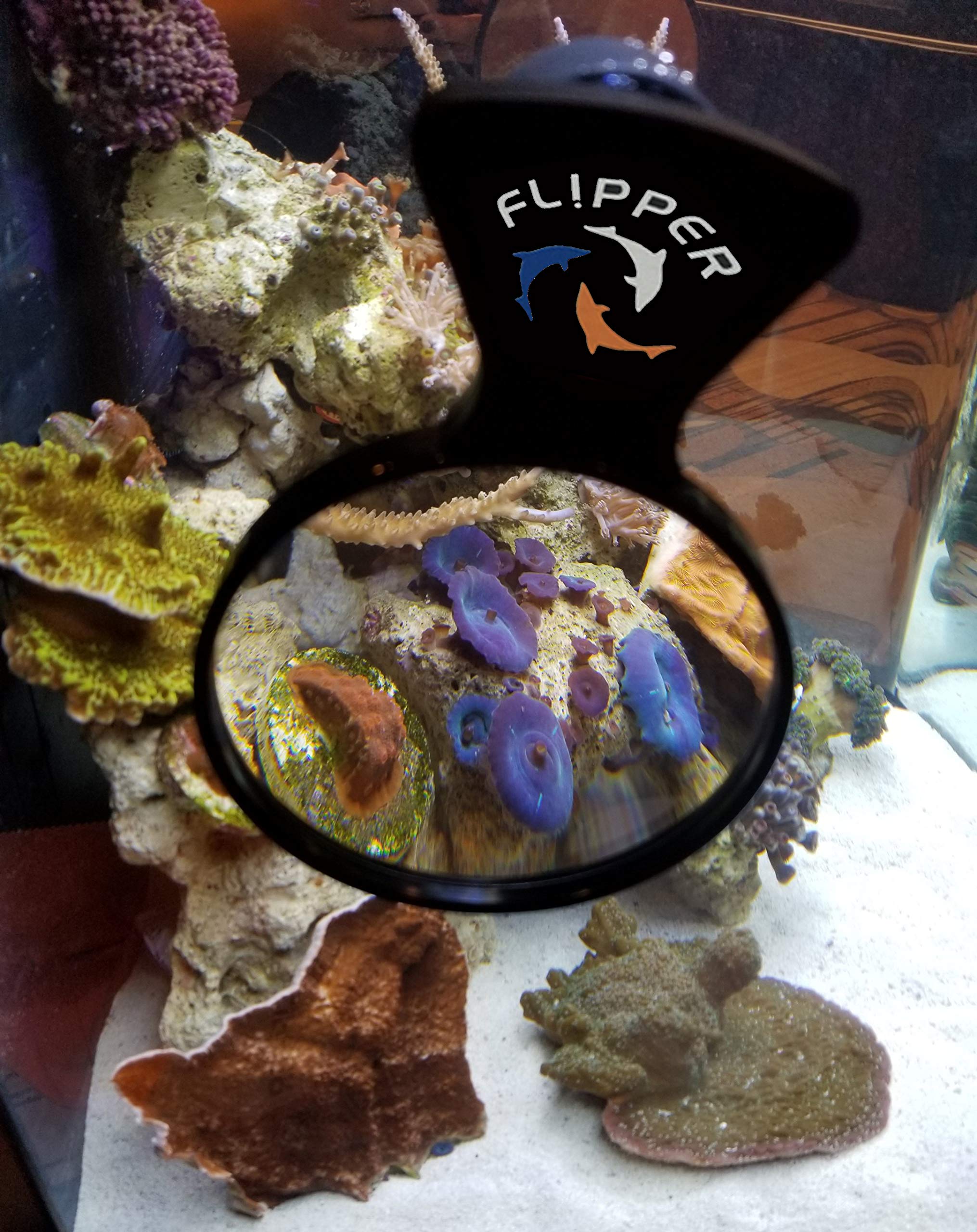 DeepSee Magnified Aquarium Viewer