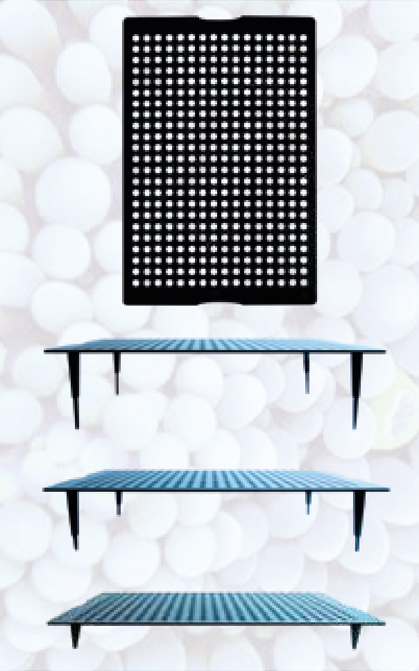 Fauna marin Coral Frag Board - 3