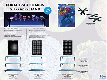 Fauna marin Coral Frag Board feet  