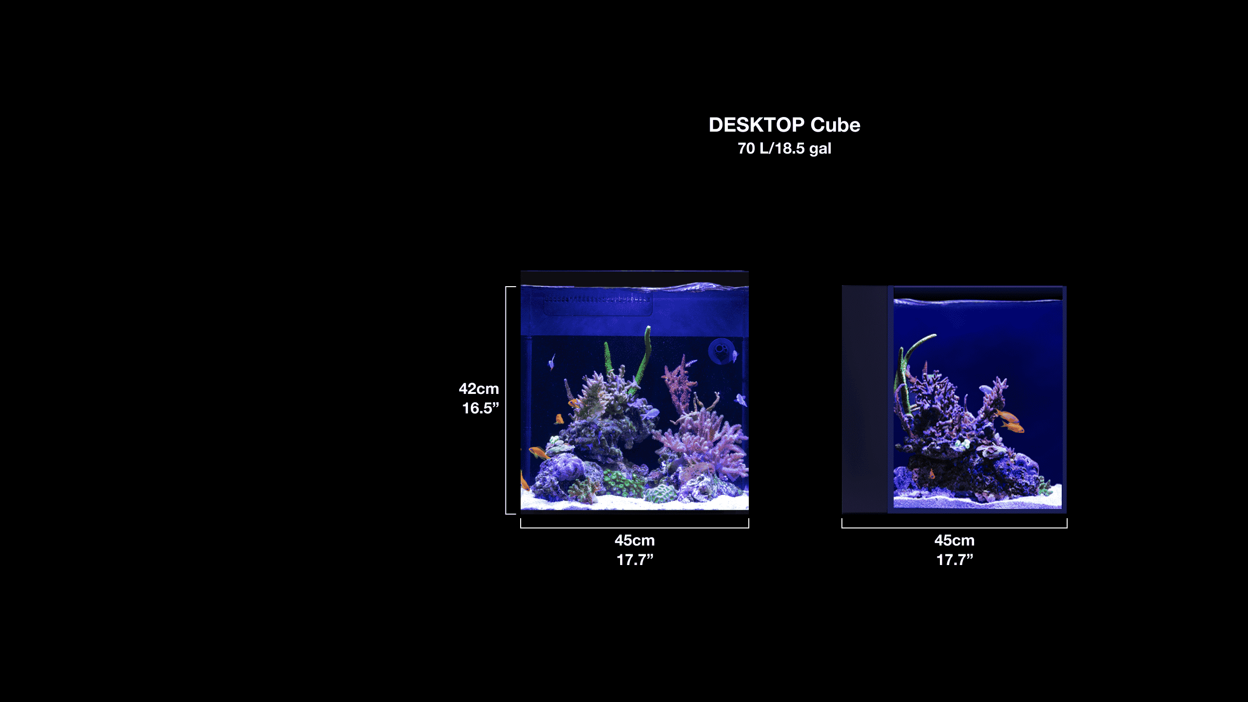 Red Sea Desktop nanoakvarium - 2