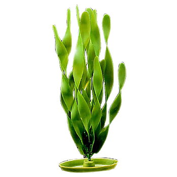 Marina Plastic Plant Jungle Vallisneria 20cm