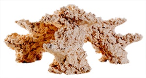 Reef Ceramic