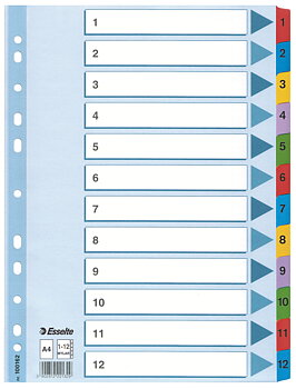 Register Esselte Mylar A4 1-12
