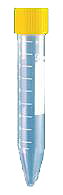 Rör 10Ml 100X16mm Pp 100/kt