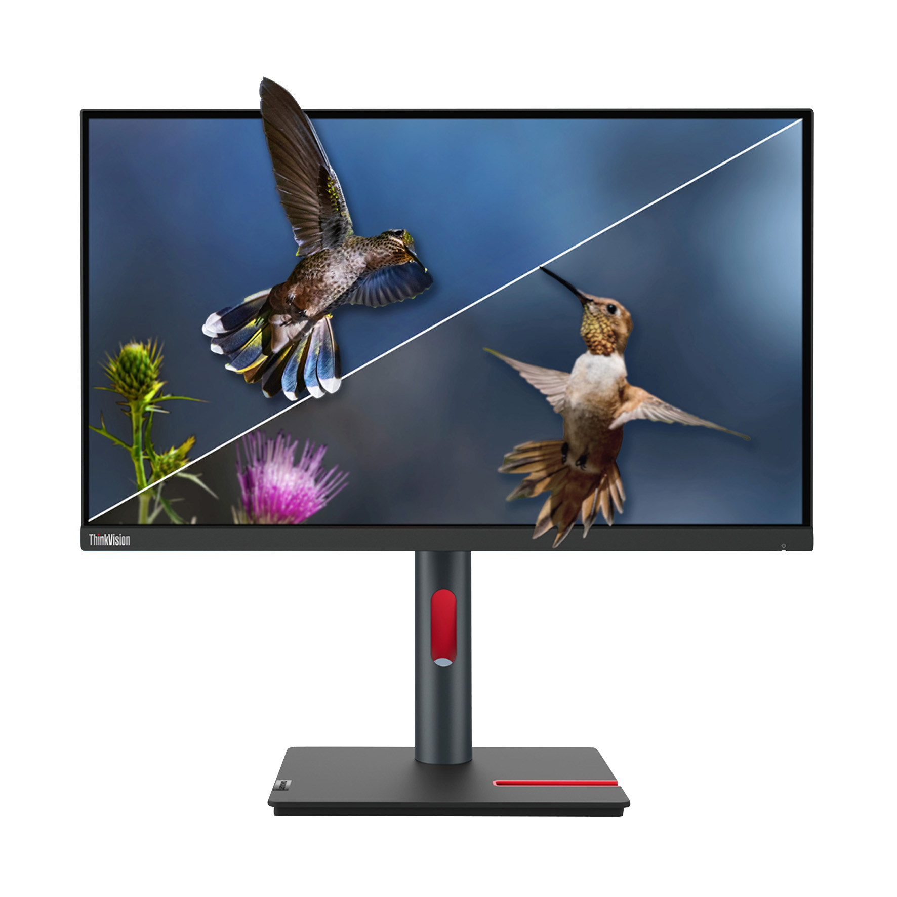 ThinkVision T24i-30 24"