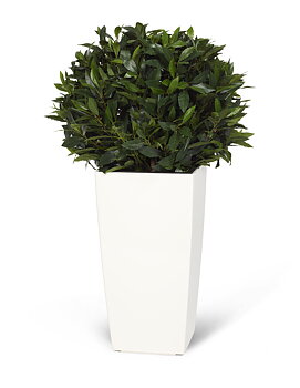 Konstväxt lagerboll 35cm