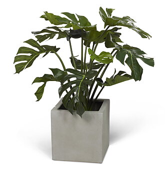 Konstväxt split philo 80cm