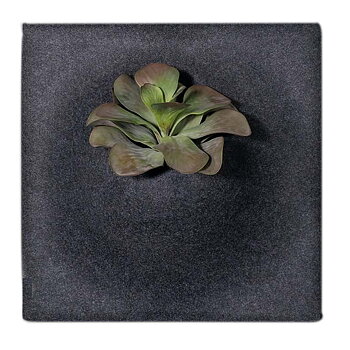 Ljudabsorbent slate 58*58*21cm
