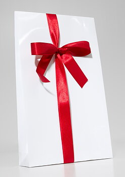 Presentpåse 320x430mm vit