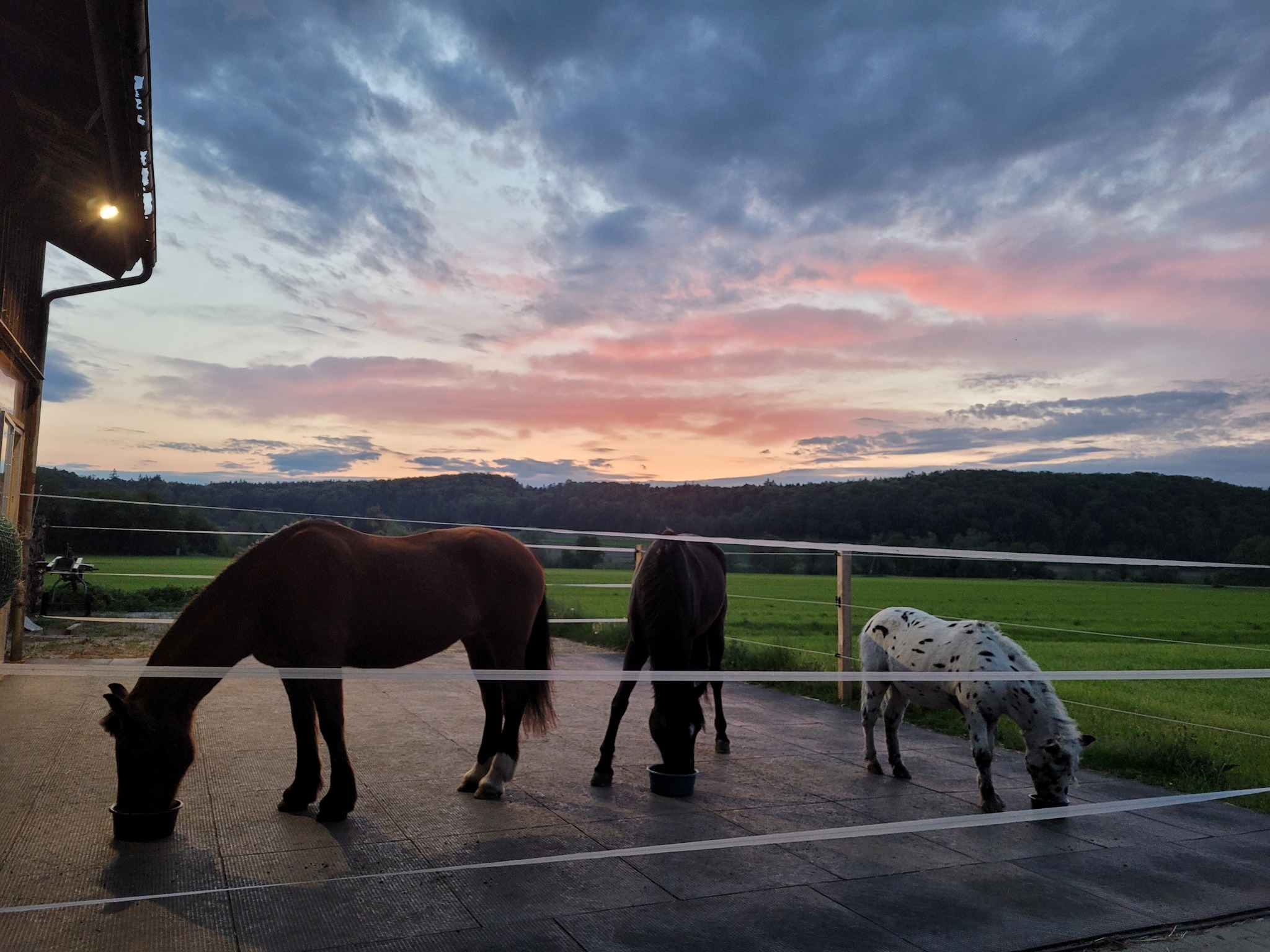 Boxmattor Från 400kr/st inkl moms 