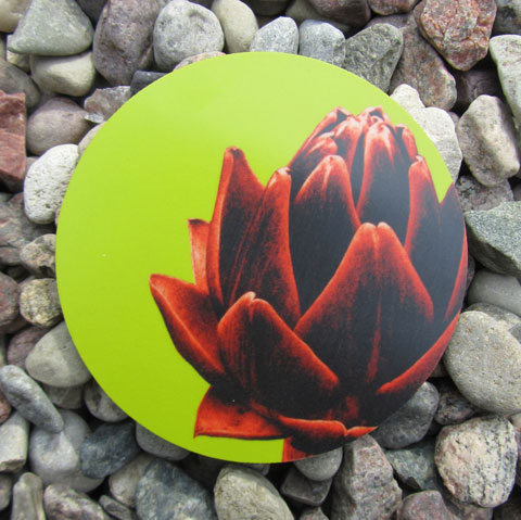 Coaster