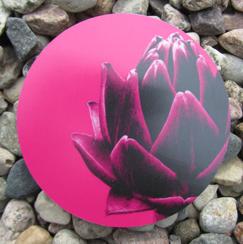 Coaster