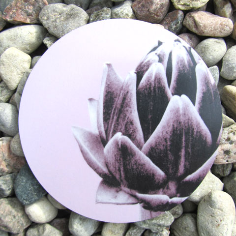 Coaster