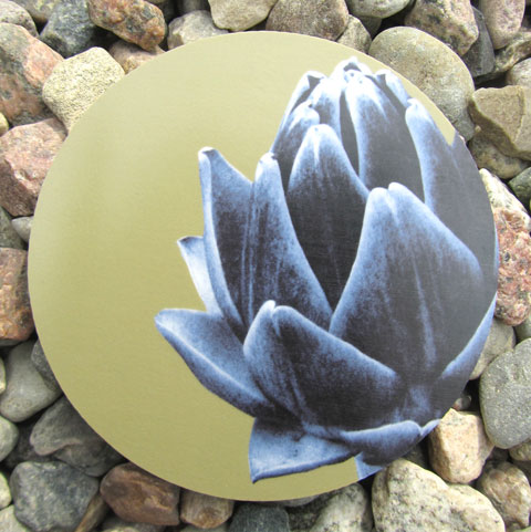 Coaster