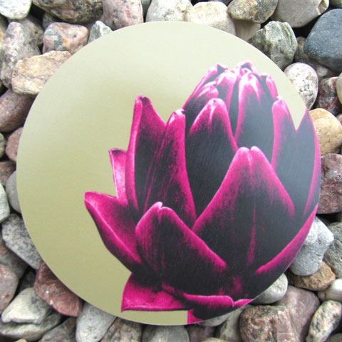 Coaster