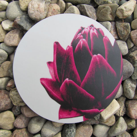 Coaster