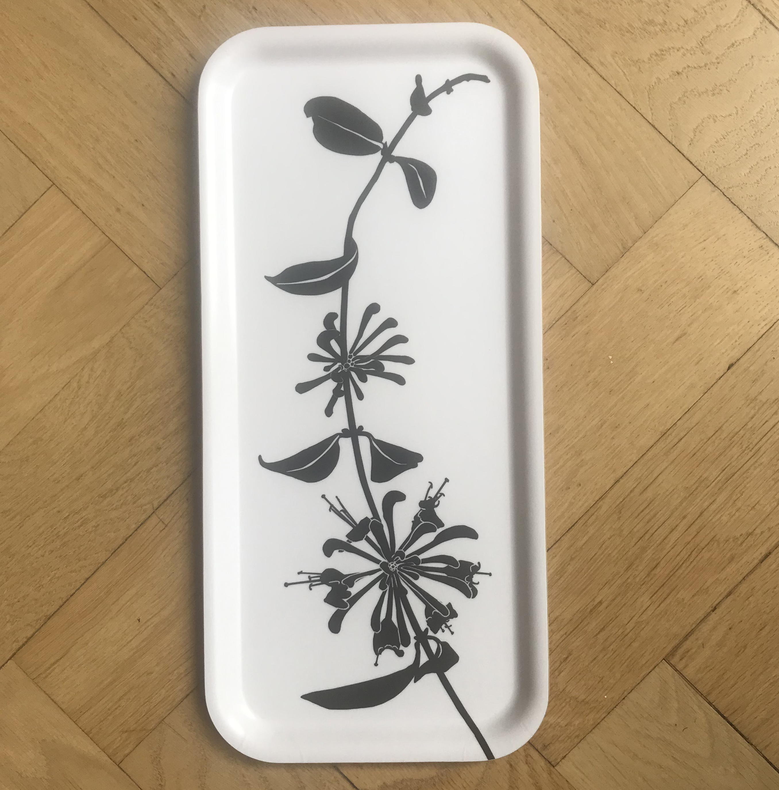 Tray honeysuckle