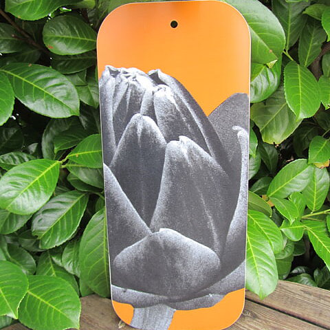 Cutting board