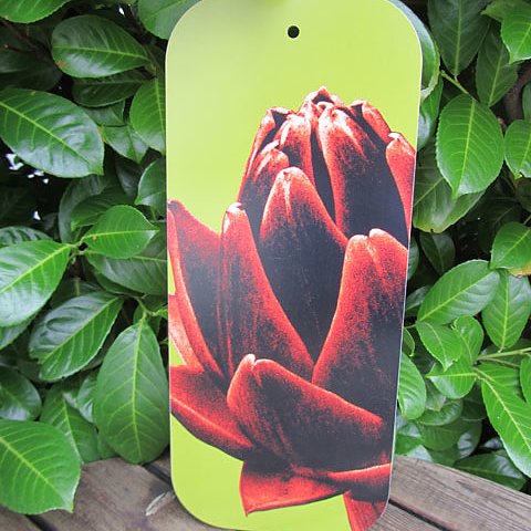 Cutting board