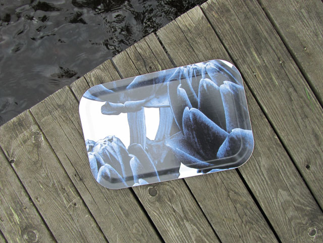 Tray 