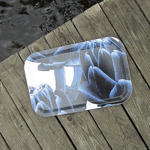 Tray