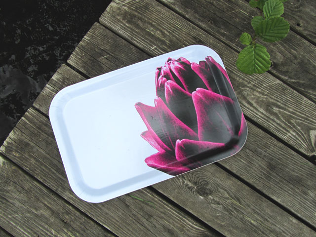 Tray
