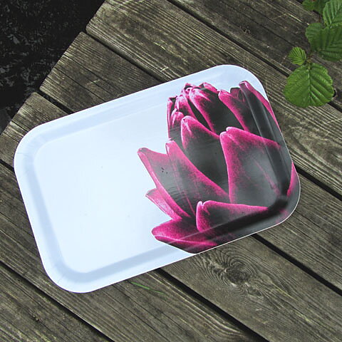 Tray