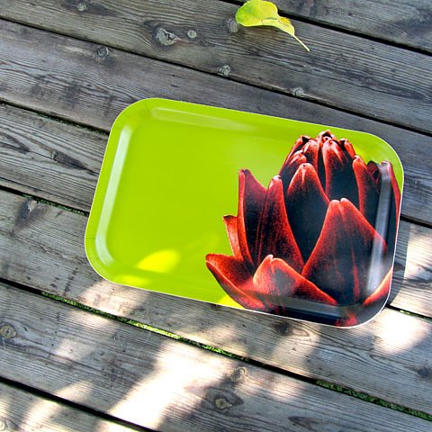 Tray