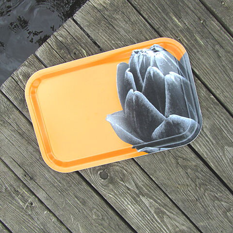 Tray