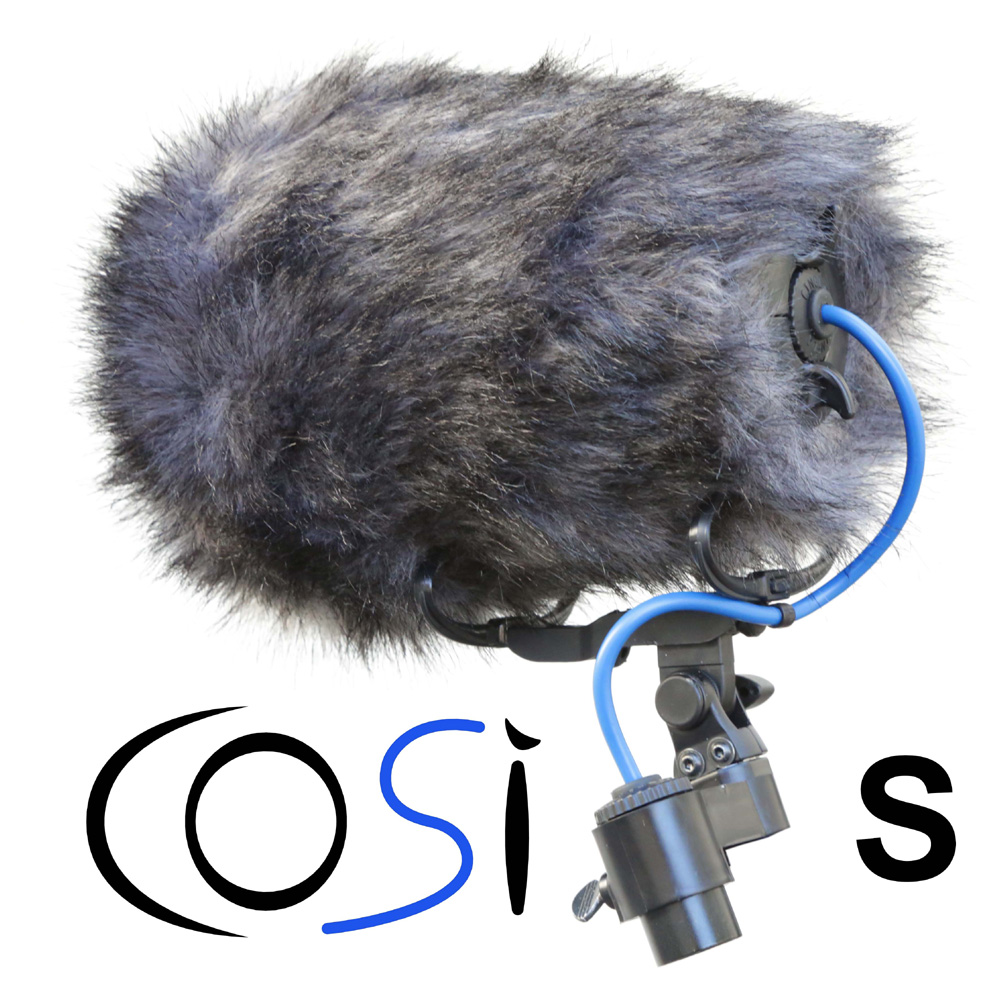 Cinela - COSI-S-19
